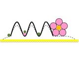 太巻き寿司〜椿の花〜作り方16写真
