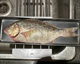 白身魚の中華風簡単姿蒸し（釣ったら蒸す）作り方1写真