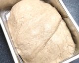 1*林檎酵母の高加水クランベリーパン作り方5写真