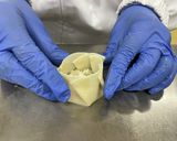 にゅ〜籠包　牛乳を食べよう!作り方6写真