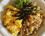 鶏ひき肉とごぼうの三色丼作り方9写真