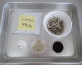 ミックスナッツの田作り作り方1写真