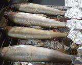 落ち鮎の塩焼き作り方1写真