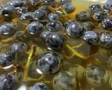 山ブドウの天然酵母作り方5写真