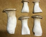 エリンギのバター焼き＊エリンギ君作り方1写真