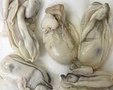 牡蠣と春菊の春巻き作り方2写真