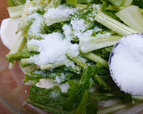 すっぱ甘辛！無塩かぶとりんごの中華風漬物作り方9写真