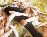 ミルクスープ【鶏挽肉＊きのこ＊白菜】作り方4写真
