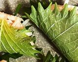 ヘルシー美味しい!簡単つくねもどき作り方3写真