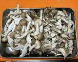 キノコたっぷり！具沢山のトマトスープ♬作り方6写真
