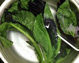 ★袋で簡単！即席 高菜漬け作り方3写真
