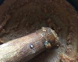 無水鍋でふろふき大根の酢味噌乗せ作り方3写真