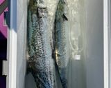 釣ったサワラとコンビニサラダでダイエット作り方1写真