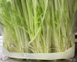 水菜保存〜使うまで(洗い方),作り方2写真