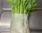 水菜保存〜使うまで(洗い方),作り方6写真