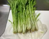 水菜保存〜使うまで(洗い方),作り方7写真