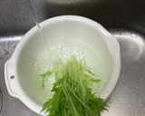 水菜保存〜使うまで(洗い方),作り方11写真