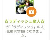 ☆ラディッシュ星人☆作り方13写真