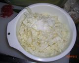 簡単♪白菜サラダ(๑→‿ฺ←๑)作り方3写真
