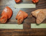 40℃～ たらこ 火入れ温度比較実験作り方32写真