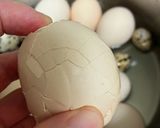 簡単にゆで卵をむく方法作り方4写真