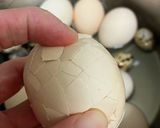簡単にゆで卵をむく方法作り方5写真