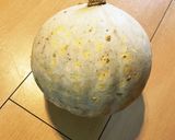 白かぼちゃの茶巾しぼり作り方1写真