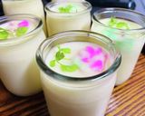 銀杏【殻ごと・冷凍保存】…と殻むき作り方13写真