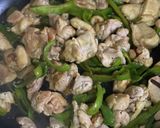 簡単♡鶏もも肉の青椒肉絲風作り方5写真