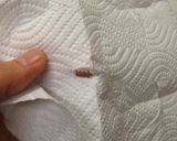 **母から習った…金時豆**作り方23写真