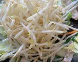肉野菜炒め作り方9写真