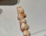 焼き鳥　なんこつ作り方4写真