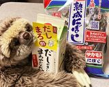 妊婦さんに最適☆煮干しのだしまろ酢漬け作り方1写真
