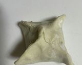 簡単マロンパイ さっくり作り方4写真