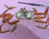 カニカマで量増しセコがにのマヨネーズ和え作り方11写真