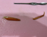カニカマで量増しセコがにのマヨネーズ和え作り方13写真
