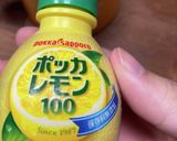 【限界】濃いレモンカルピス作り方3写真