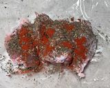 ♡手羽元スープ用冷凍ストック♡作り方4写真