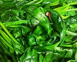 10分でほうれん草の胡麻和え作り方1写真