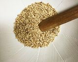 10分でほうれん草の胡麻和え作り方2写真