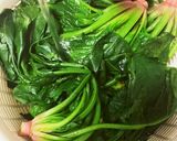 10分でほうれん草の胡麻和え作り方5写真