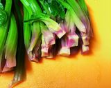 10分でほうれん草の胡麻和え作り方10写真