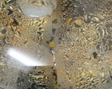 作り置き定番の蓮根とひじきの炒り煮作り方4写真