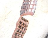 サワラの炙りをサラダ風に…作り方1写真