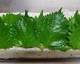 サワラの炙りをサラダ風に…作り方3写真