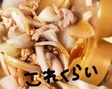 豚肉と大根とwねぎのサッパリ煮作り方13写真