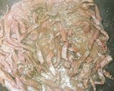 貧血予防牛ハツともやしの味塩こしょう炒め作り方2写真