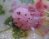 ★可愛い！いちごの一口おにぎり作り方3写真