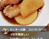 メイン★基本の手羽元と大根の煮物★簡単作り方10写真