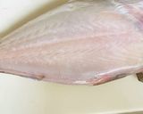 【捌いてみた】カワハギ作り方6写真